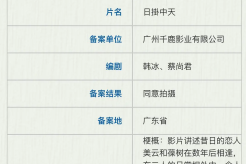 电影《日掛中天》项目书