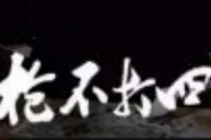 槍不打四