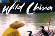 美丽中国