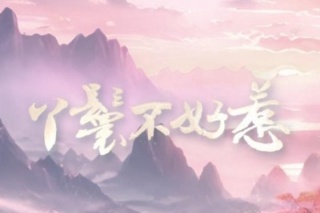 丫鬟不好惹