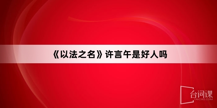 《以法之名》许言午是好人吗