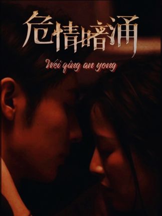 《危情暗涌》剧情介绍