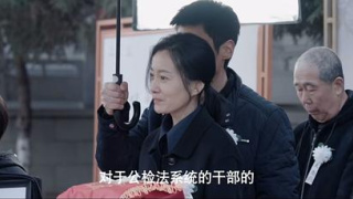 以法之名剧照