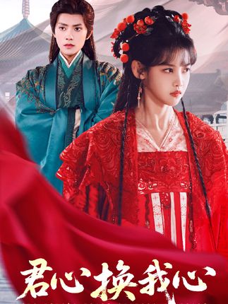 《君心换我心》剧情介绍