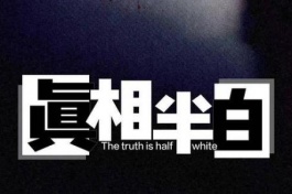 真相半白