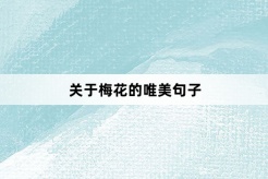 Beautiful sentences about plum blossoms