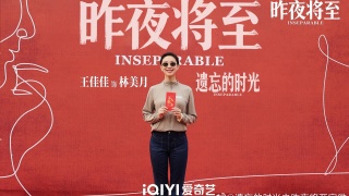 昨夜将至剧照