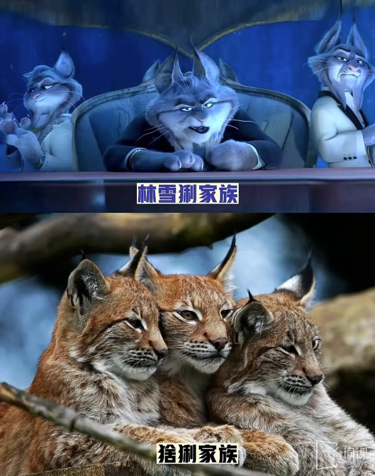 《疯狂动物城2》动物原型介绍