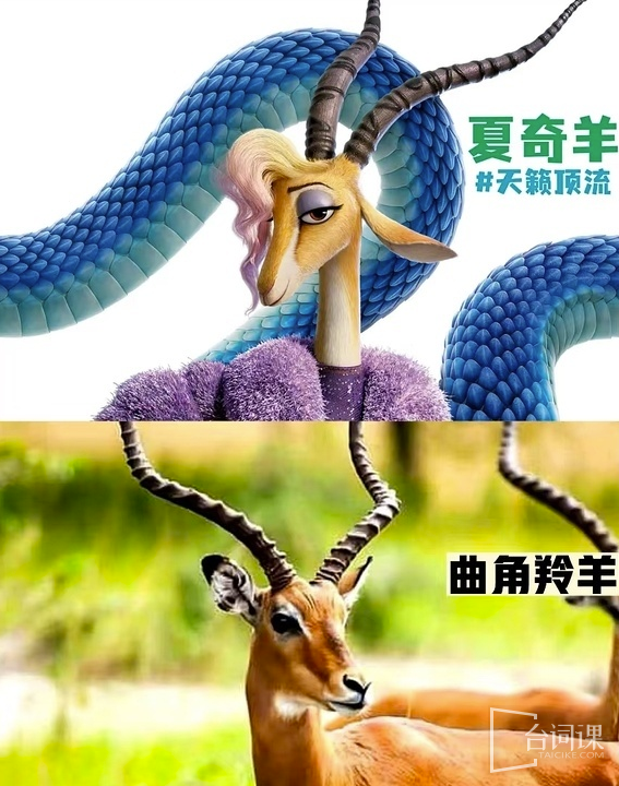 《疯狂动物城2》动物原型介绍