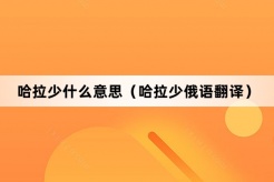 “哈拉少”网络梗词解释