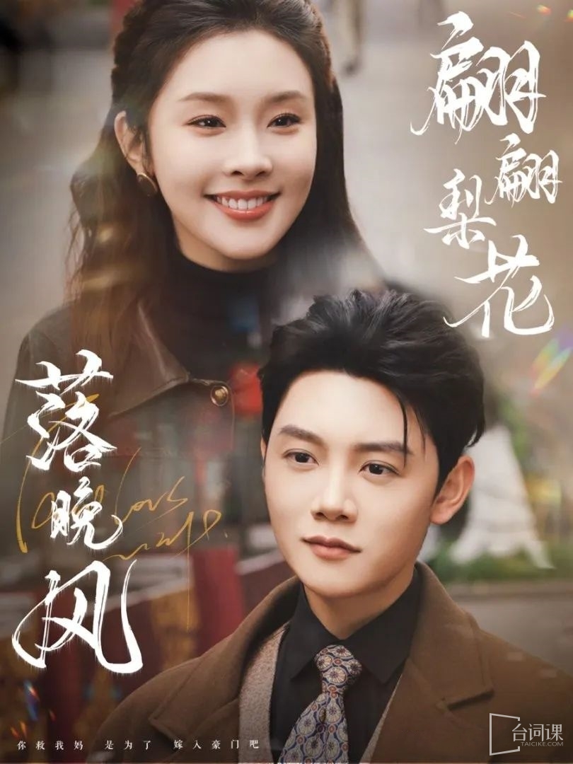 《翩翩梨花落晚风》剧情介绍