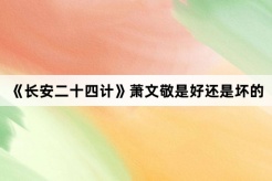《长安二十四计》萧文敬是好还是坏的