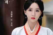 苏晓彤