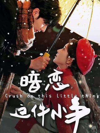 《暗恋这件小事》剧情介绍