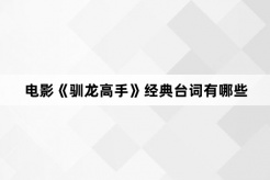 电影《驯龙高手》经典台词有哪些