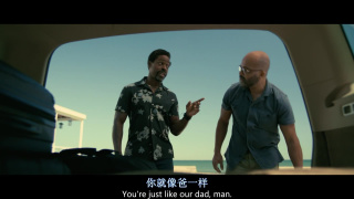 美国小说剧照