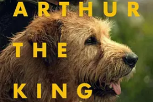 冠軍亞瑟