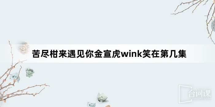苦盡柑來遇見你金宣虎wink笑在第幾集