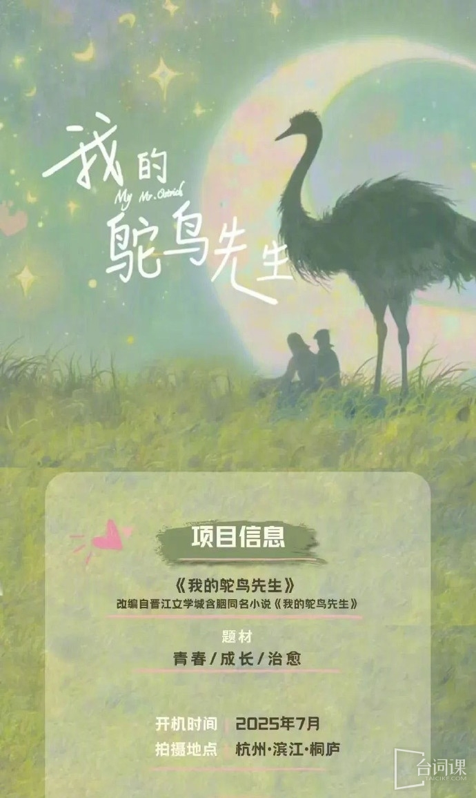 电视剧《我的鸵鸟先生》剧情介绍