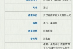電影《潛伏》備案
