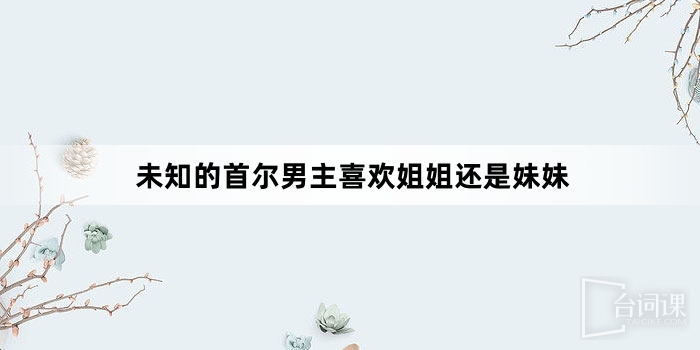 未知的首爾男主喜歡姐姐還是妹妹