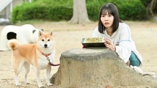 今日份的散步劇照