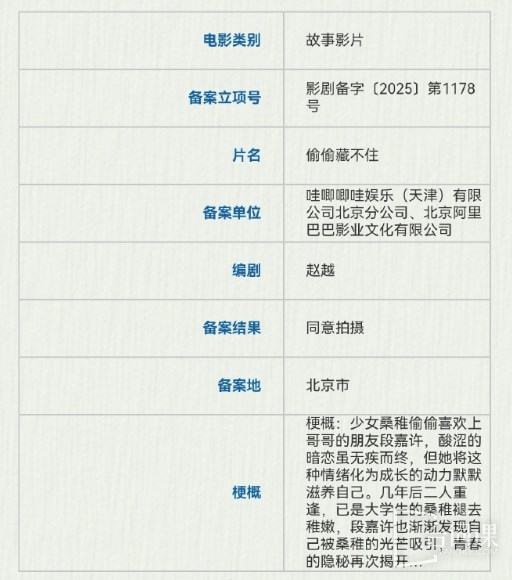 電影《偷偷藏不住》劇情介紹