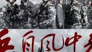 兵自风中来剧照