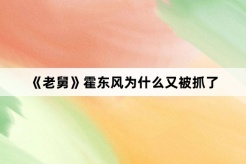 《老舅》霍东风为什么又被抓了